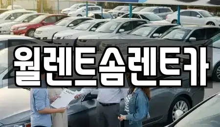 서울 동작구 노량진동 렌트카 전문 월렌트솜렌트카