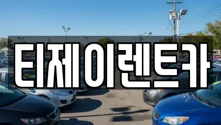 서울 동작구 노량진동 렌트카 전문 티제이렌트카