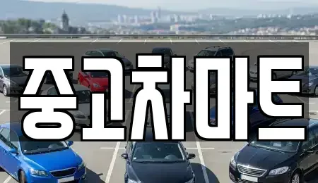 서울 동작구 노량진동 중고차매매 전문 중고차마트