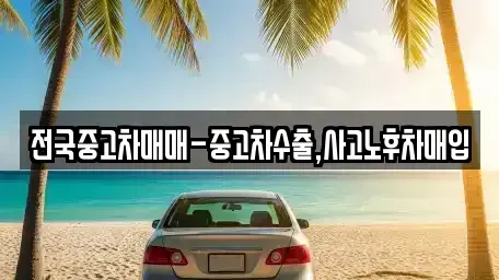 서울 동작구 노량진동 중고차매입 전문 전국중고차매매-중고차수출,사고노후차매입