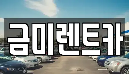 서울 마포구 구수동 렌트카 전문 금미렌트카