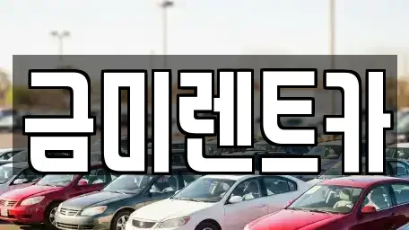 서울 마포구 신정동 렌트카 전문 금미렌트카