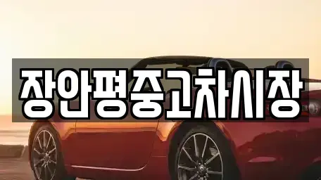 서울 마포구 신정동 중고차매매 전문 장안평중고차시장