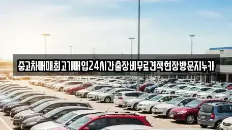 서울 마포구 신정동 중고차매입 전문 중고차매매최고가매입24시간출장비무료견적현장방문지누카