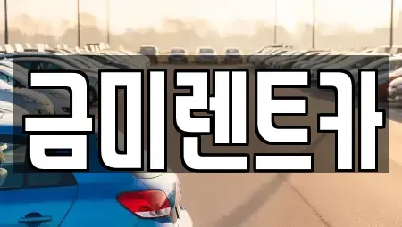 서울 마포구 연남동 렌트카 전문 금미렌트카