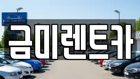 서울 마포구 용강동 렌트카 전문 금미렌트카