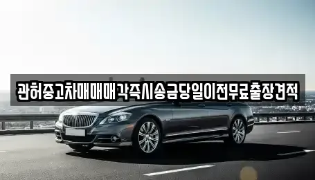 서울 마포구 용강동 중고차 전문 관허중고차매매매각즉시송금당일이전무료출장견적