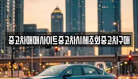 서울 마포구 용강동 중고차 전문 중고차매매사이트중고차시세조회중고차구매