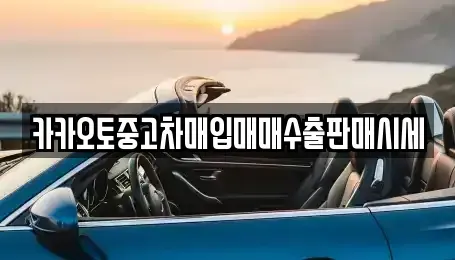 서울 마포구 용강동 중고차 전문 카카오토중고차매입매매수출판매시세