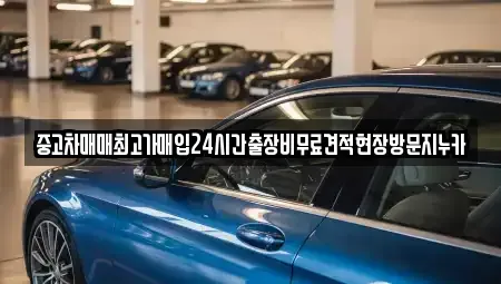 서울 마포구 용강동 중고차매입 전문 중고차매매최고가매입24시간출장비무료견적현장방문지누카