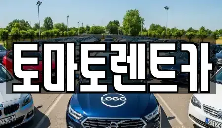 서울 송파구 마천동 렌트카 전문 토마토렌트카