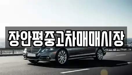 서울 송파구 마천동 중고차매매 전문 장안평중고차매매시장