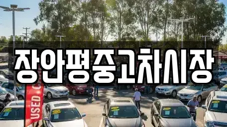 서울 송파구 마천동 중고차매매 전문 장안평중고차시장
