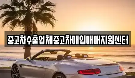 서울 송파구 방이동 중고차매입 전문 중고차수출업체중고차매입매매지원센터