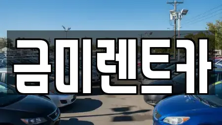 서울 영등포구 당산동5가 렌트카 전문 금미렌트카