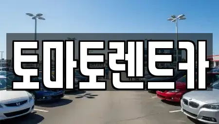 서울 영등포구 당산동5가 렌트카 전문 토마토렌트카