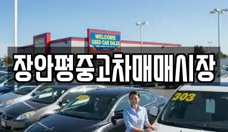 서울 영등포구 당산동5가 중고차 전문 장안평중고차매매시장