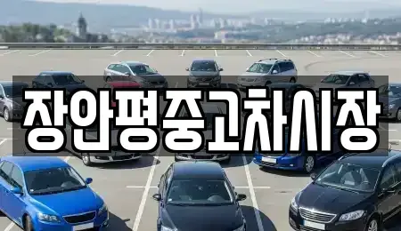 서울 영등포구 당산동5가 중고차 전문 장안평중고차시장
