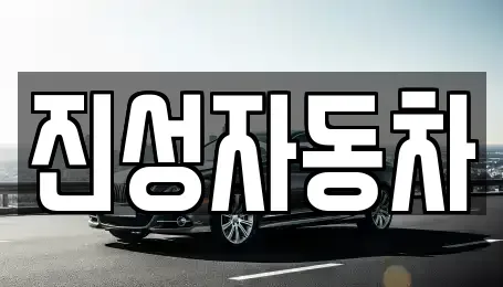 서울 영등포구 당산동5가 중고차 전문 진성자동차
