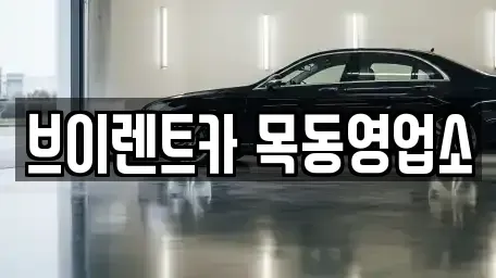 서울 영등포구 양평동2가 단기렌트카 전문 브이렌트카 목동영업소
