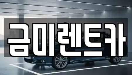 서울 영등포구 양평동2가 렌트카 전문 금미렌트카