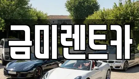 서울 영등포구 영등포동7가 렌트카 전문 금미렌트카