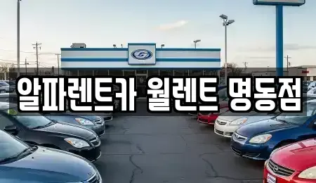 서울 종로구 경운동 렌트카 전문 알파렌트카 월렌트 명동점