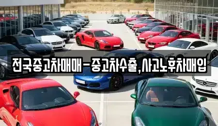 서울 종로구 경운동 중고차매매 전문 전국중고차매매-중고차수출,사고노후차매입