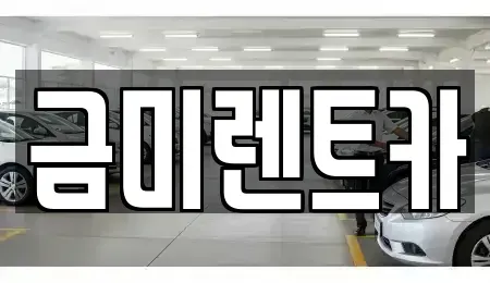 서울 종로구 도렴동 렌트카 전문 금미렌트카