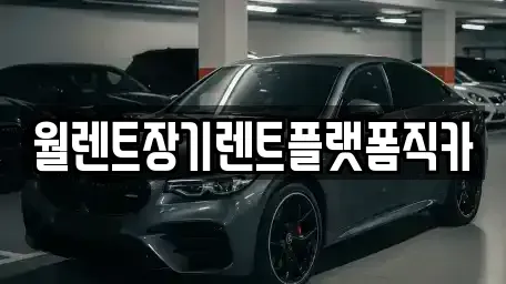 서울 종로구 도렴동 렌트카 전문 월렌트장기렌트플랫폼직카