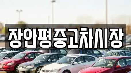 서울 종로구 도렴동 중고차 전문 장안평중고차시장