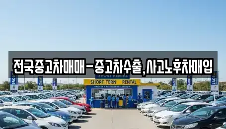 서울 종로구 도렴동 중고차매입 전문 전국중고차매매-중고차수출,사고노후차매입