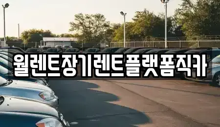 서울 종로구 부암동 렌트카 전문 월렌트장기렌트플랫폼직카
