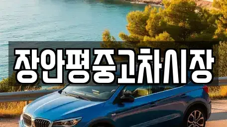 서울 종로구 부암동 중고차 전문 장안평중고차시장