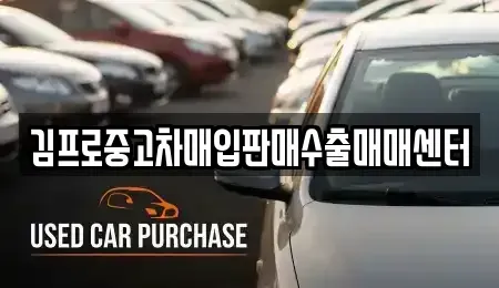 서울 종로구 부암동 중고차매입 전문 김프로중고차매입판매수출매매센터