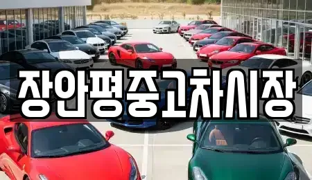서울 종로구 수송동 중고차 전문 장안평중고차시장