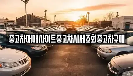 서울 종로구 수송동 중고차매매 전문 중고차매매사이트중고차시세조회중고차구매
