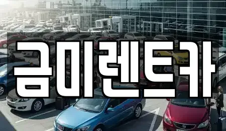 서울 종로구 신문로1가 렌트카 전문 금미렌트카