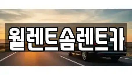 서울 종로구 신문로1가 렌트카 전문 월렌트솜렌트카