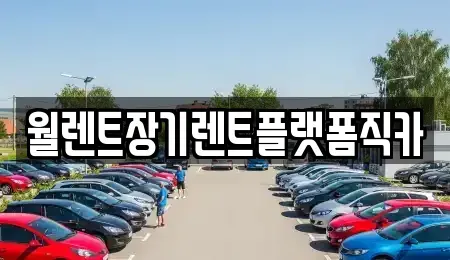 서울 종로구 신문로1가 장기렌트카 전문 월렌트장기렌트플랫폼직카