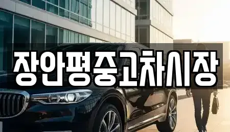 서울 종로구 신문로1가 중고차 전문 장안평중고차시장