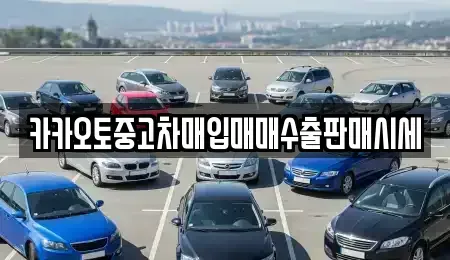 서울 종로구 신문로1가 중고차 전문 카카오토중고차매입매매수출판매시세