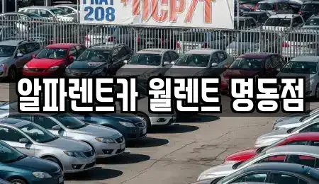 서울 종로구 운니동 렌트카 전문 알파렌트카 월렌트 명동점