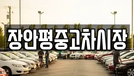 서울 종로구 운니동 중고차 전문 장안평중고차시장