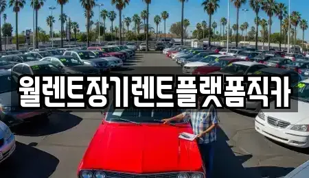 서울 중구 광희동1가 렌트카 전문 월렌트장기렌트플랫폼직카