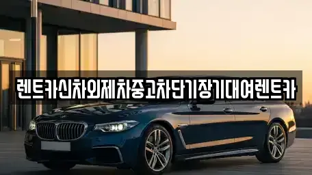 서울 중구 광희동1가 장기렌트카 전문 렌트카신차외제차중고차단기장기대여렌트카