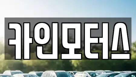 서울 중구 광희동1가 중고차 전문 카인모터스