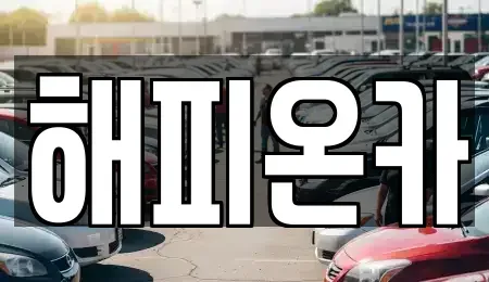 서울 중구 광희동1가 중고차 전문 해피온카