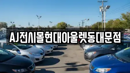 서울 중구 산림동 렌트카 전문 AJ전시몰현대아울렛동대문점