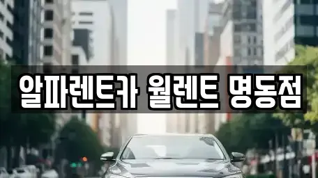 서울 중구 산림동 렌트카 전문 알파렌트카 월렌트 명동점